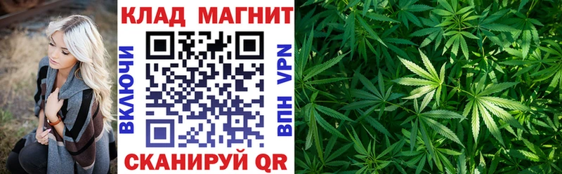 Купить наркотики сайты Горно-Алтайск ГАШ  ГЕРОИН  Псилоцибиновые грибы  A-PVP  Канабис  Мефедрон  КОКАИН 