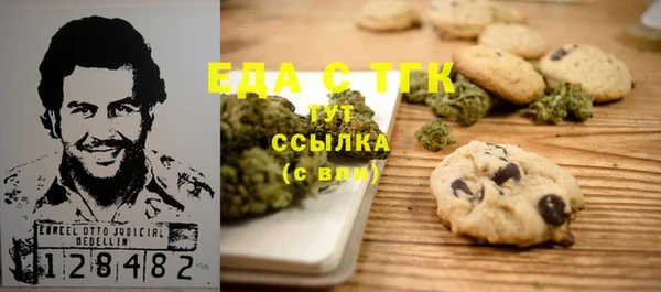 гидра Горняк