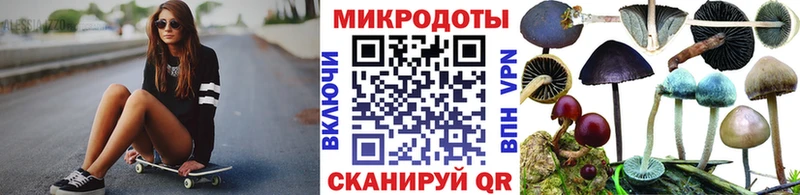 купить наркоту  Горно-Алтайск  Галлюциногенные грибы Psilocybe 